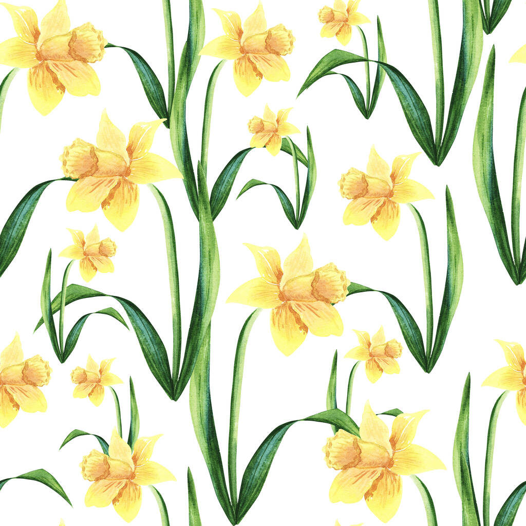Ilustrace v akvarelech květu Narcisu. Botanické pěkné ručně kreslené.Bezešvé vzor - Fotografie, Obrázek