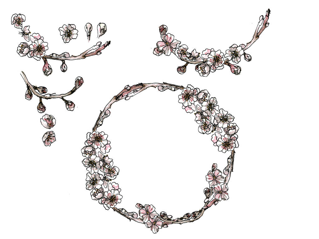 Dekoracyjny pakiet akwarelowych rogów i wieńca, różowa ilustracja brunchu w szkicowym stylu. Romantyczny element dekoracyjny kwiatowy na karteczkę, izolowany na białym tle. Skład kwiatów - Zdjęcie, obraz