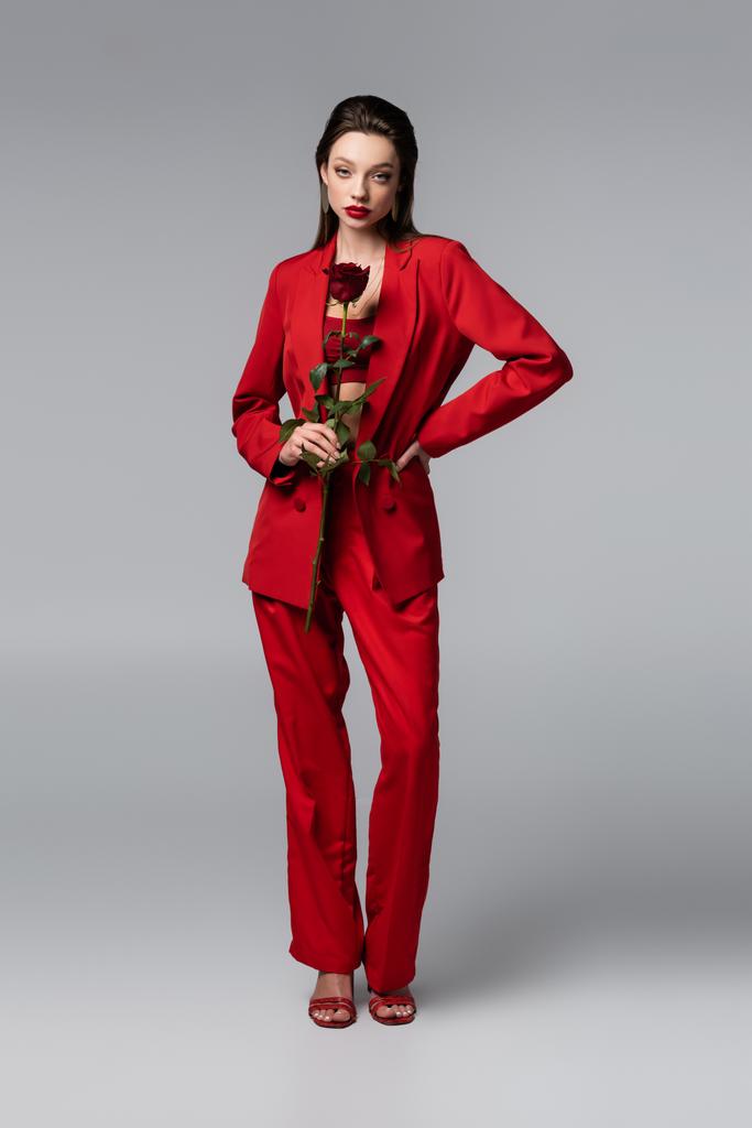 in voller Länge junge Frau im trendigen roten Anzug mit Rose im Stehen mit der Hand an der Hüfte auf dunkelgrau - Foto, Bild