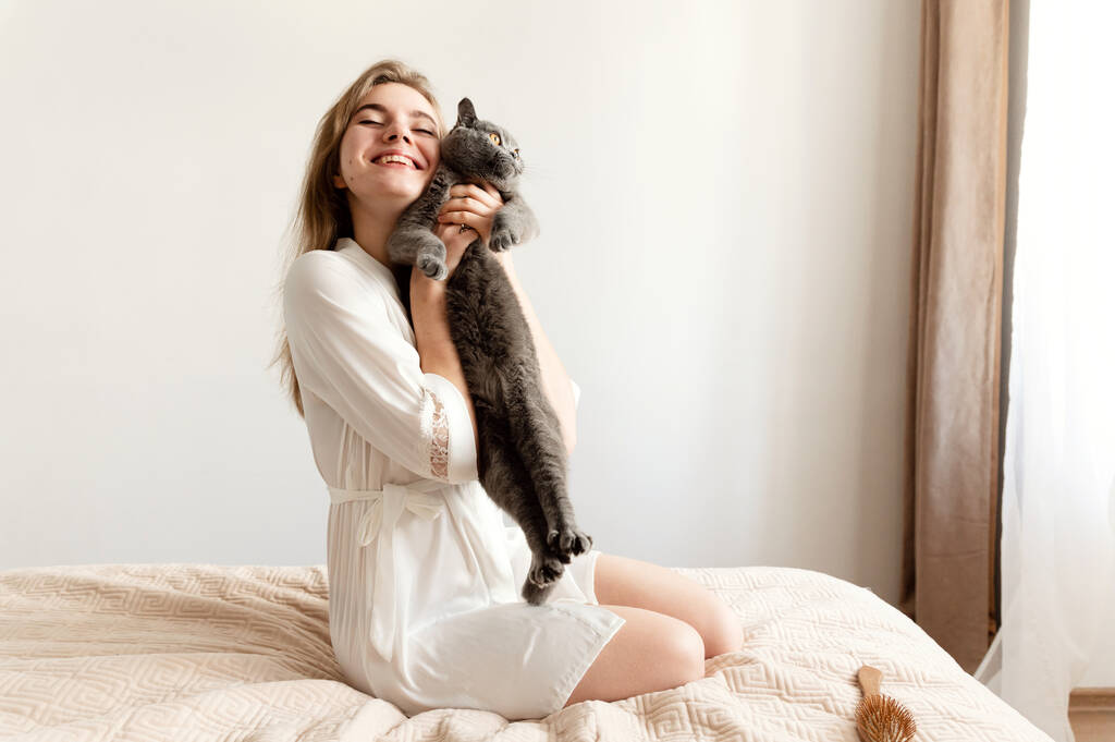 a sexy girl in thin pajamas sits on the bed and holds a beautiful Scottish cat. sexy girl at home in pajamas on a bed with a pet - Photo, Image
