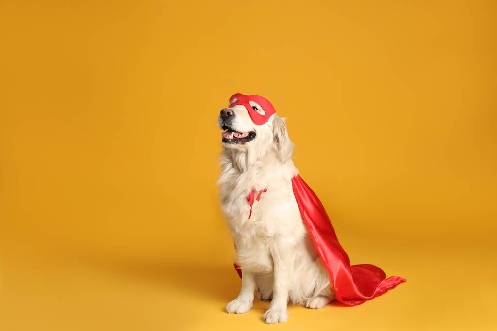 Kırmızı süper kahraman pelerinli sevimli köpek ve sarı arka planda maske, metin için yer - Fotoğraf, Görsel