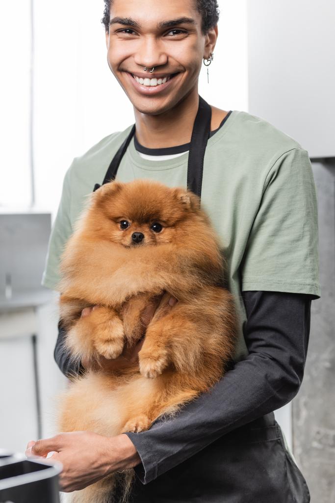 happy african american groomer smiling at camera while holding fluffy spitz in hands - Photo, Image