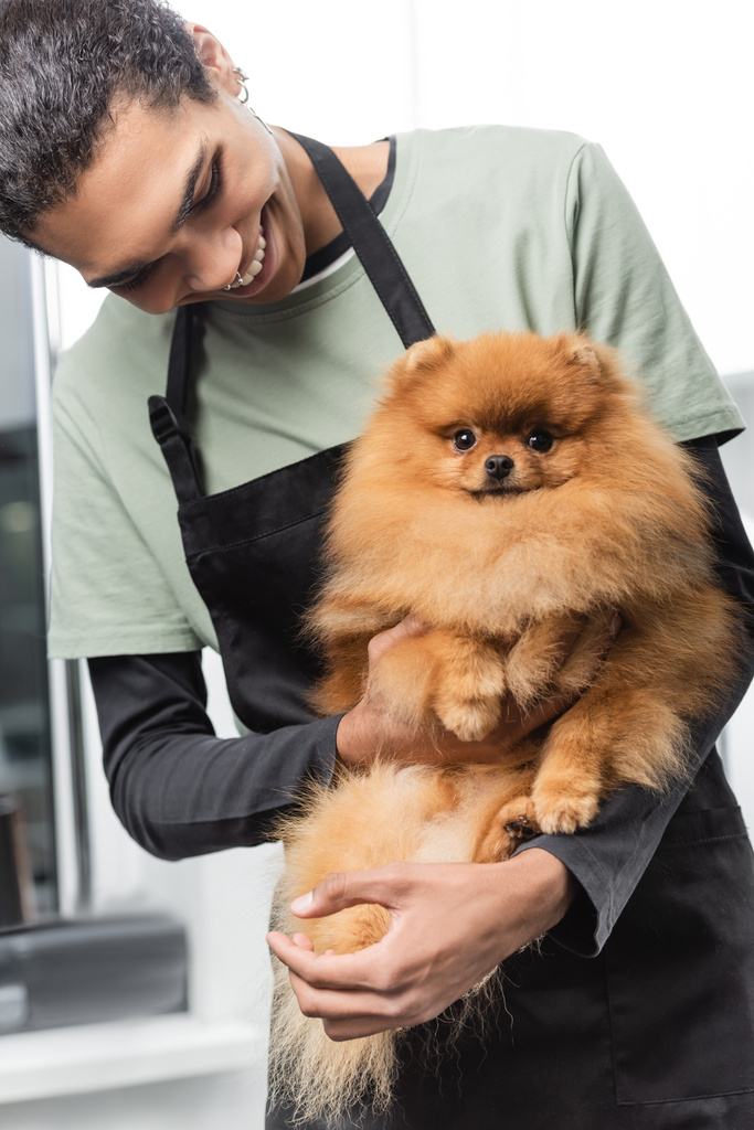alegre afroamericano groomer holding fluffy pomeranian spitz en salón de mascotas - Foto, imagen