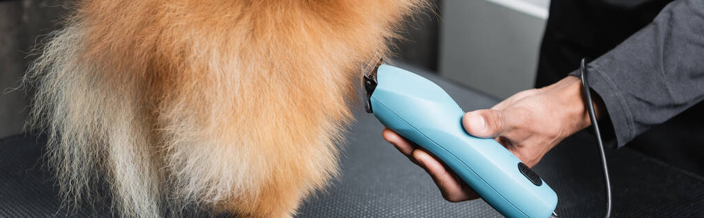 vista parziale del parrucchiere africano americano animale domestico governare cane con trimmer elettrico, banner - Foto, immagini