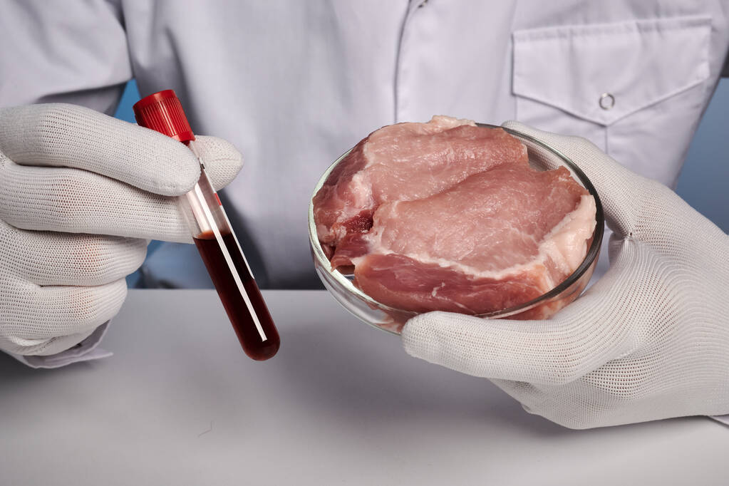 Tutkija tekee verikokeen lihalle petrimaljassa - Labs Photo - Valokuva, kuva