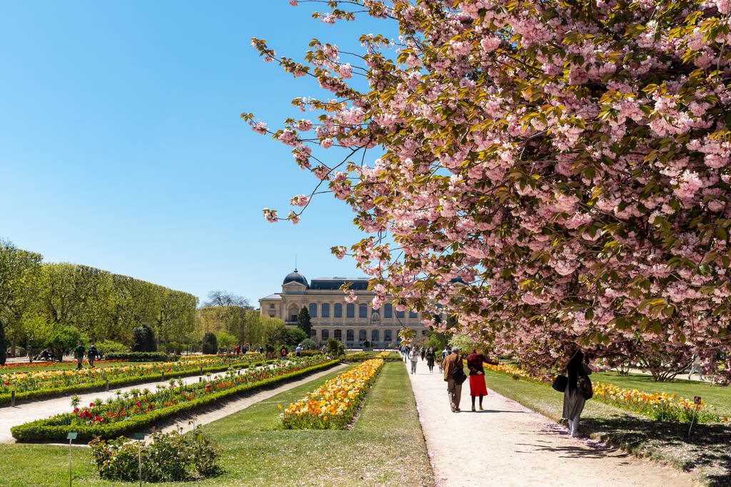 Paris, France - 23 avril 2021 : Des Parisiens se promènent dans le Jardin des Plantes par une belle journée de printemps lors de la pandémie Covid-19 - Photo, image