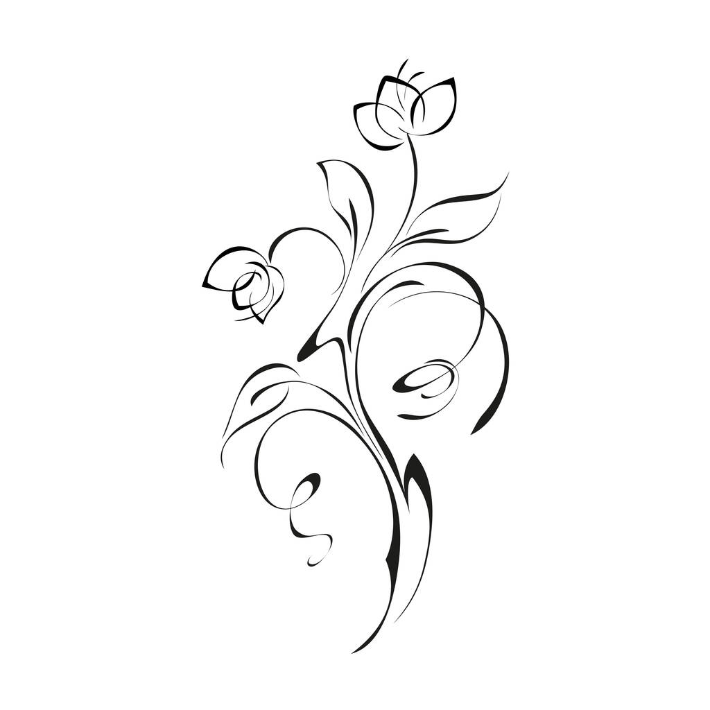 dekoracyjna gałązka z dwoma pączkami kwiatów na łodydze z liśćmi i lokami w czarnych liniach na białym tle - Wektor, obraz