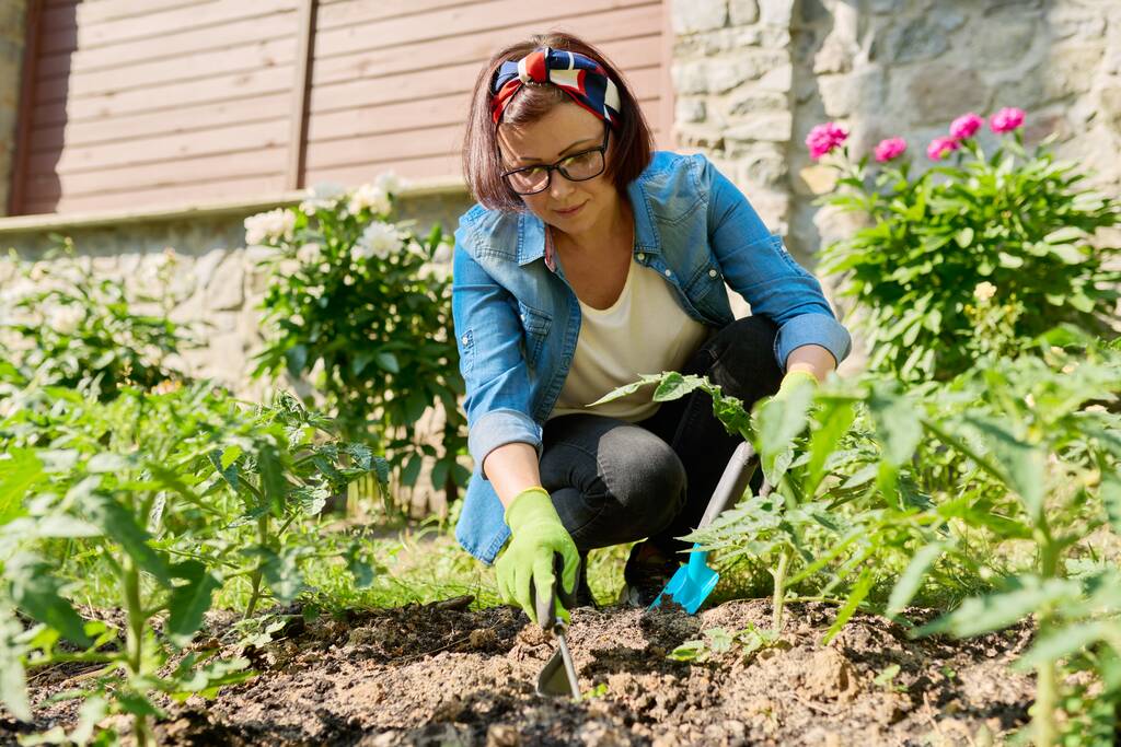 Mujer cuidando plantas jóvenes de tomate plántulas en un invernadero en un jardín de primavera. - Foto, imagen