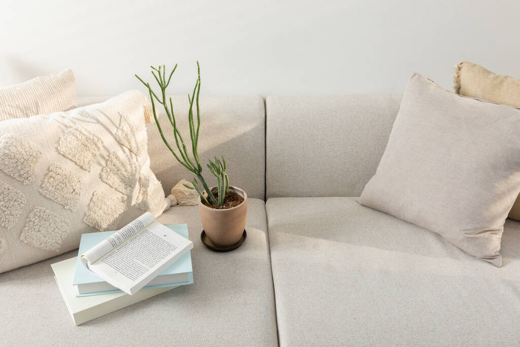 détendez-vous objets confortables et arrière-plan avec canapé, pot de fleurs, un livre - Photo, image
