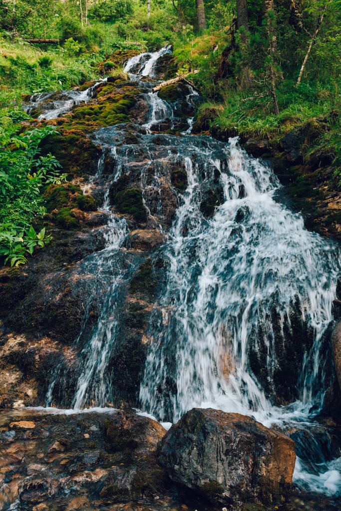 Kleiner Wasserfall im Wald - Foto, Bild