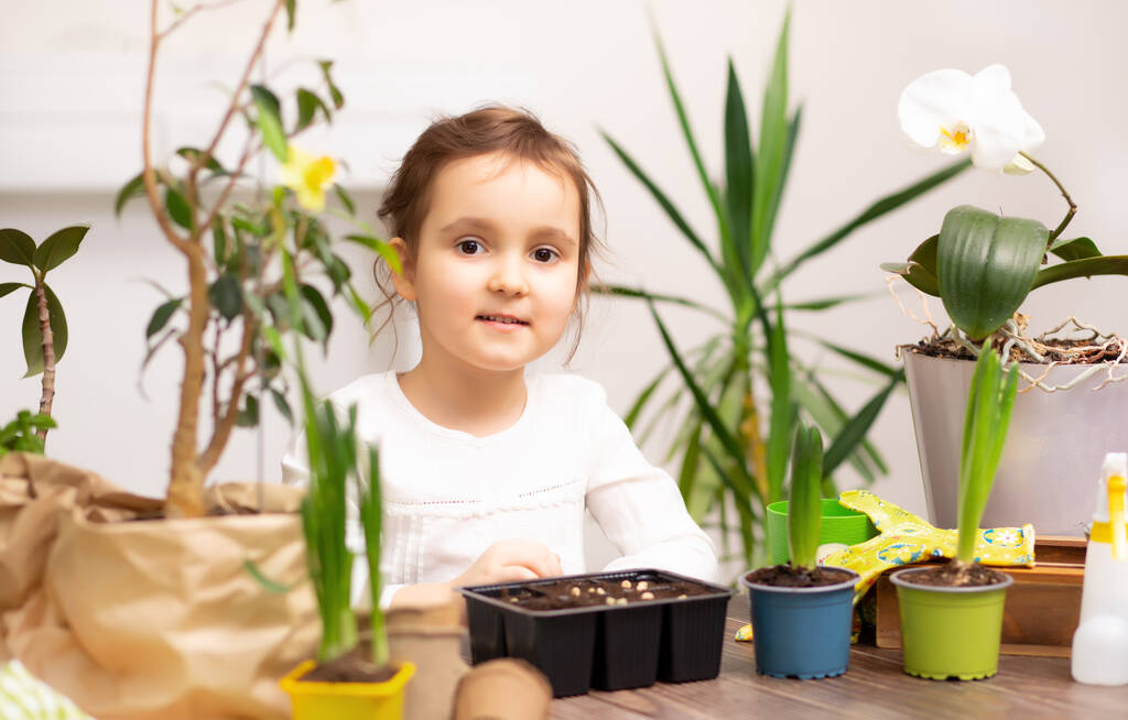 Evde bahçıvanlık. Küçük kız evdeki bitkilere ve yeşil çevreye bakmaya yardım ediyor. - Fotoğraf, Görsel