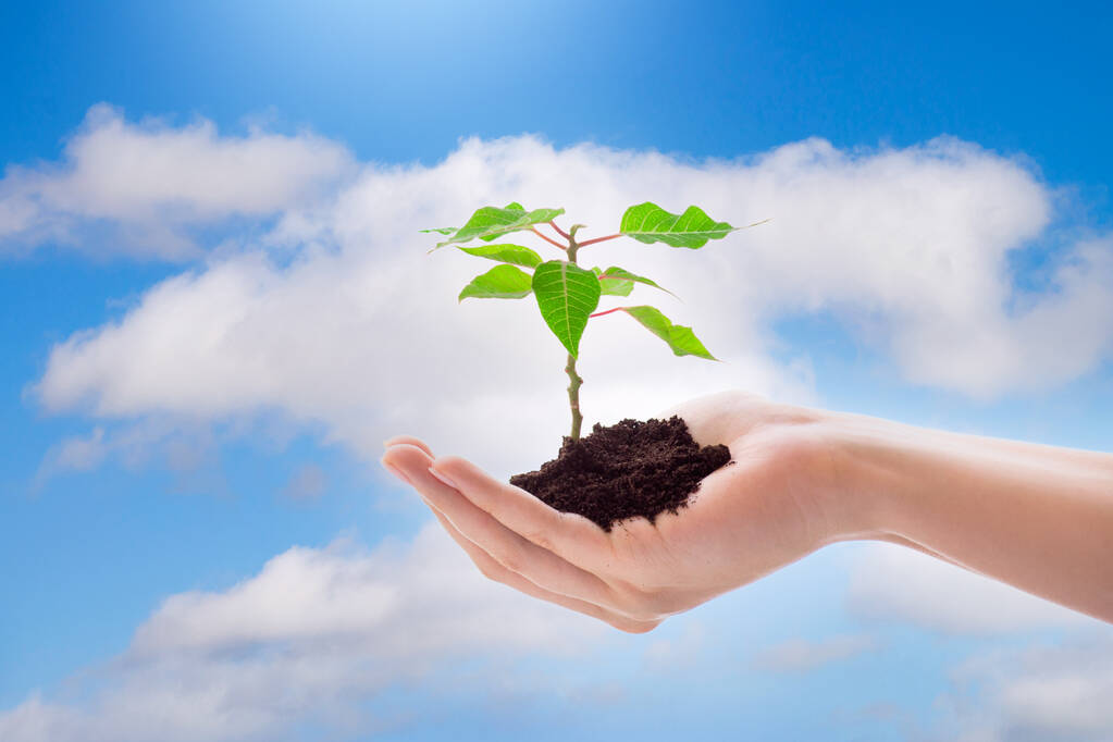 kéz gazdaság kis zöld növény ellen kék ég, föld nap háttér, környezetvédelem koncepció - Fotó, kép