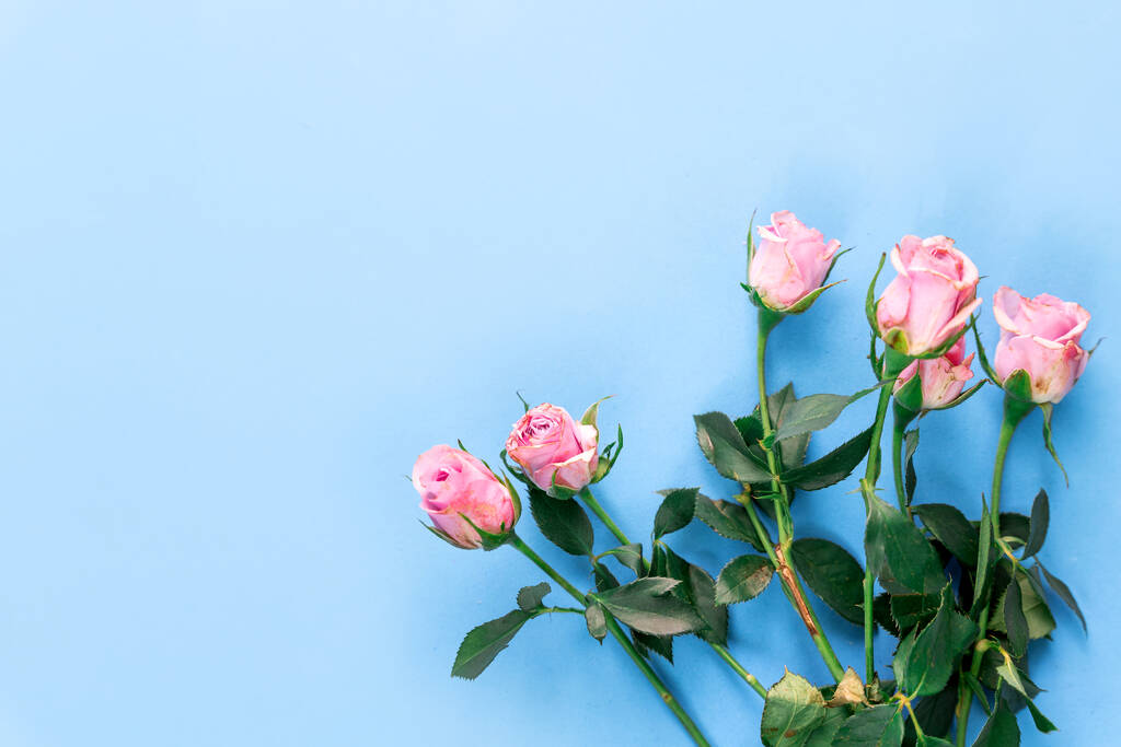 schöner Strauß rosa Rosen auf Hintergrund, Kopierraum. Hochwertiges Foto - Foto, Bild