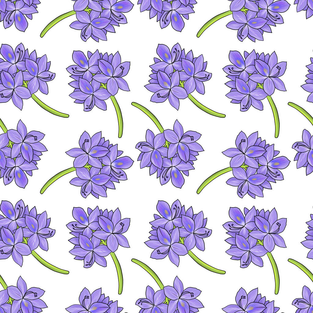 nahtloses Muster mit Blume aus Wasserhyazinthe - Foto, Bild