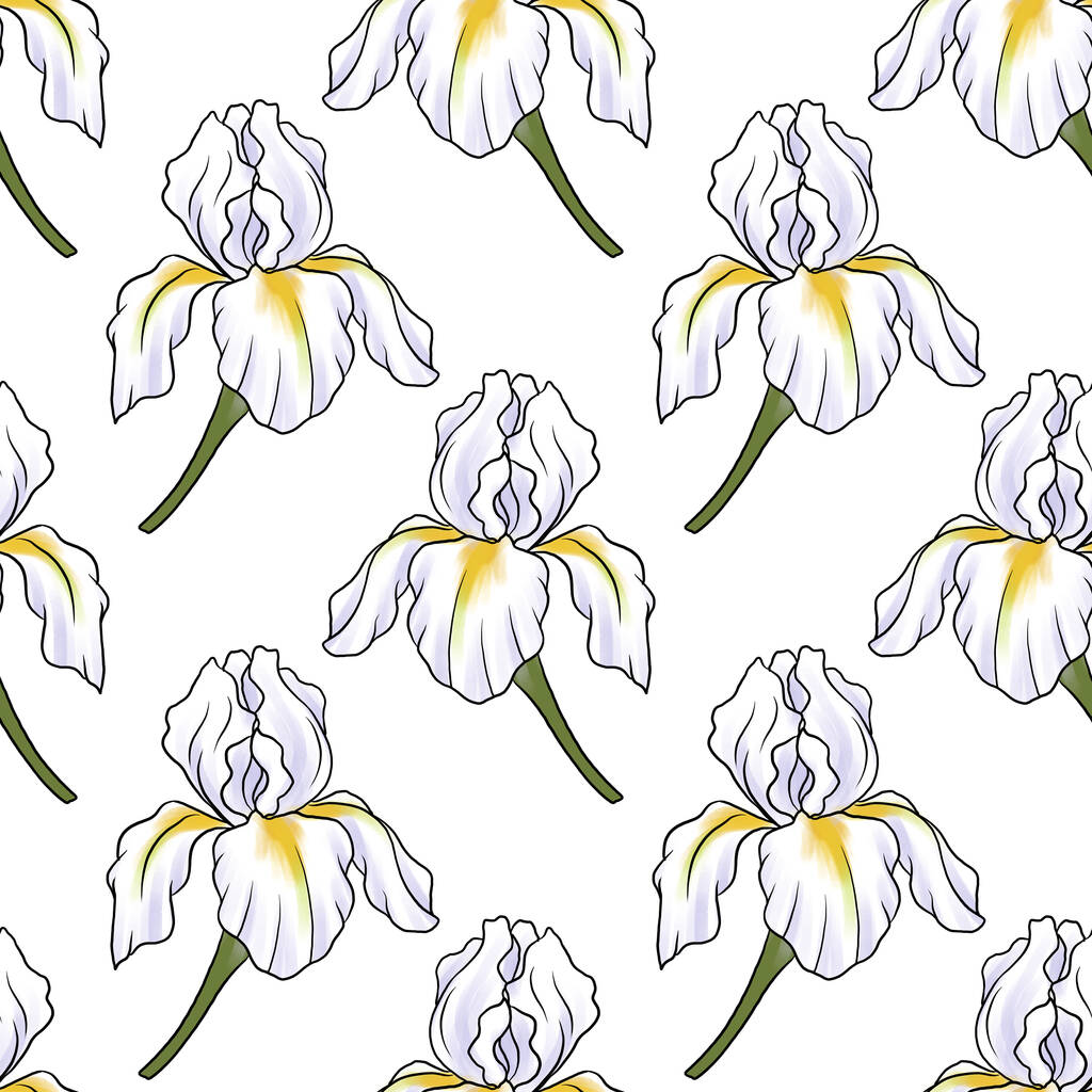 patrón sin costura con flor de iris - Foto, Imagen