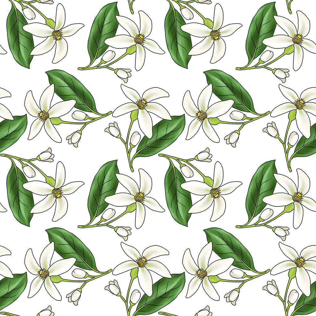 seamless pattern with flower of orange blossom - Photo, Image