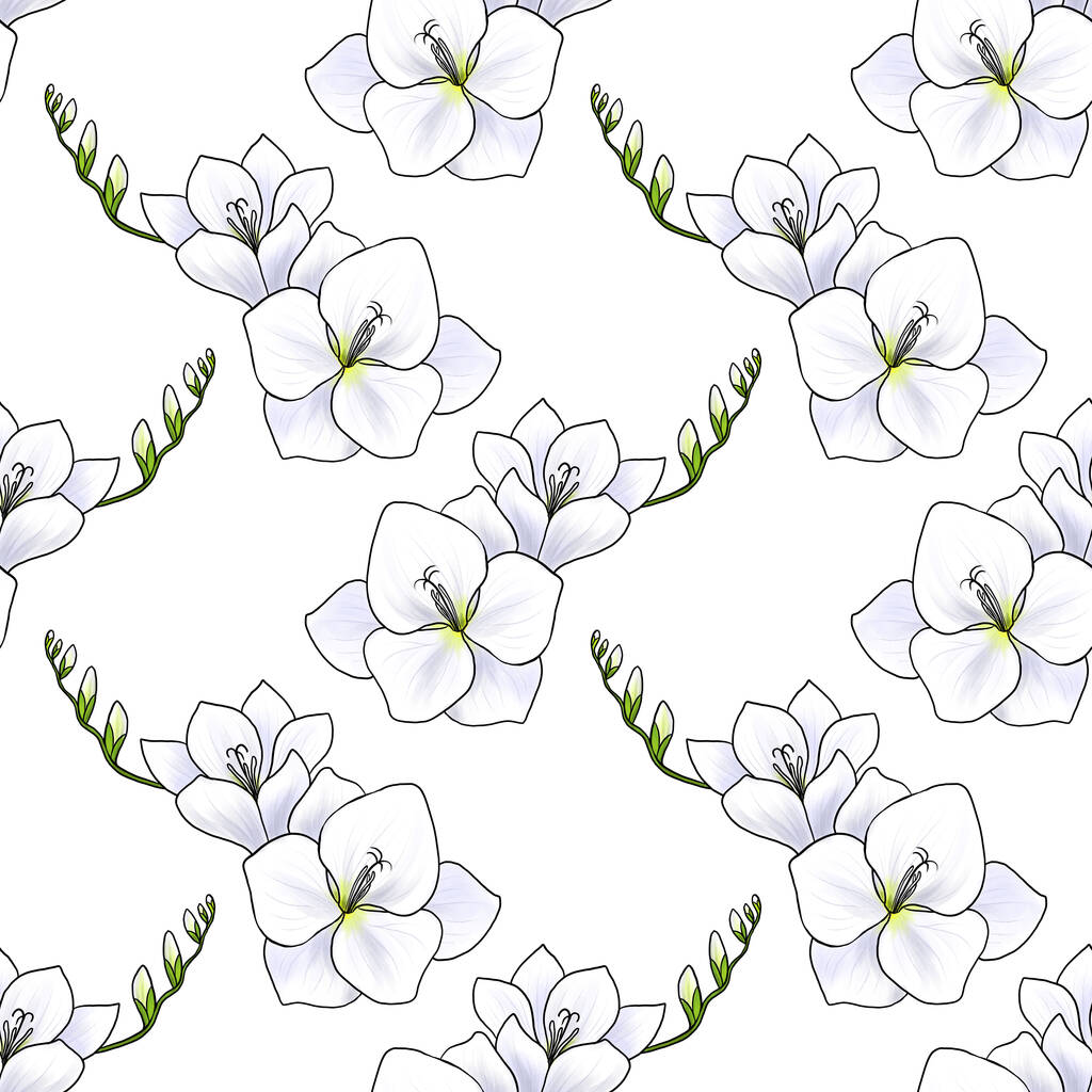 patrón sin costuras con flores de freesia - Foto, imagen