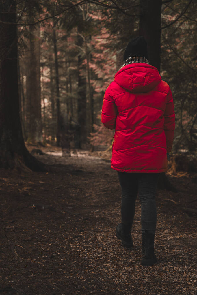una joven con un impermeable rojo camina por el bosque - Foto, imagen