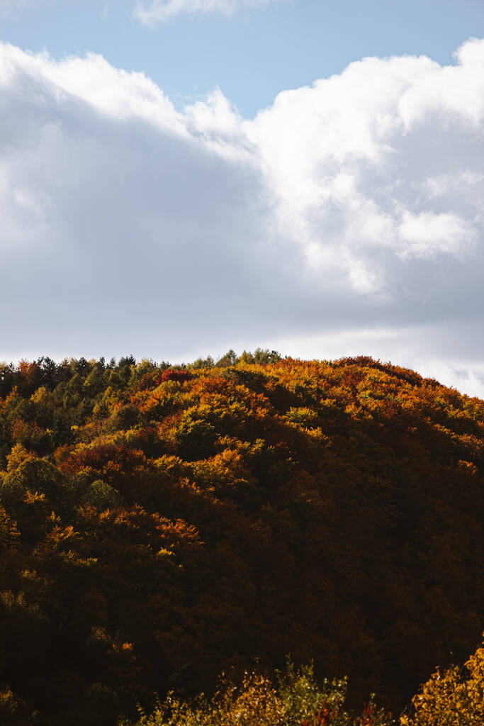 gyönyörű őszi táj fákkal és felhőkkel - Fotó, kép
