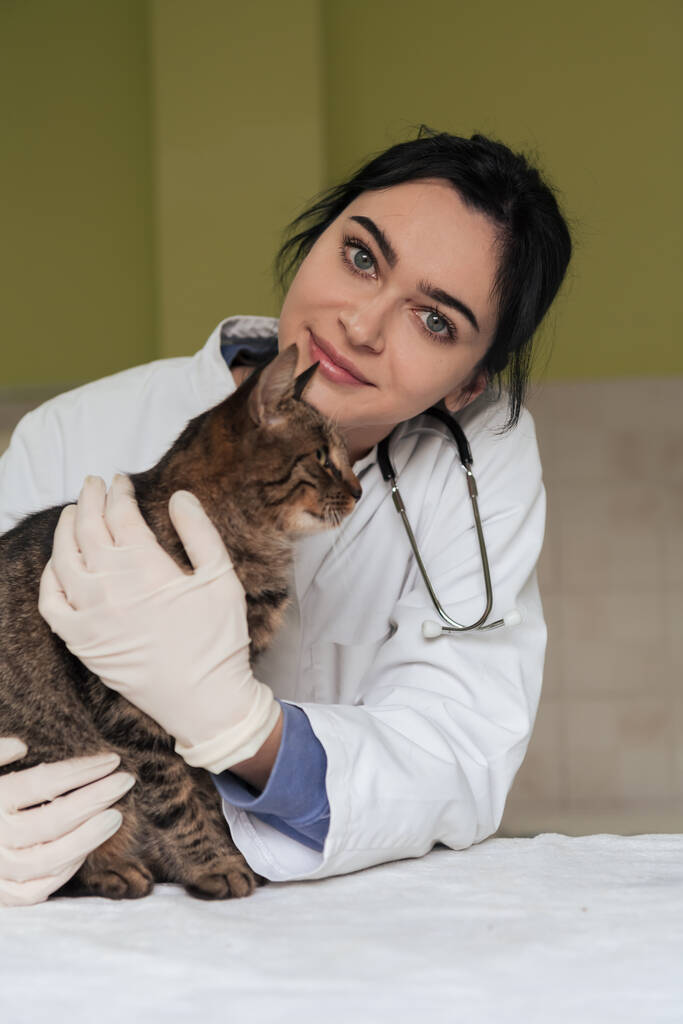 Klinika weterynaryjna. Portret kobiety w szpitalu dla zwierząt trzymającej uroczego kota gotowego do badania weterynaryjnego i leczenia  - Zdjęcie, obraz