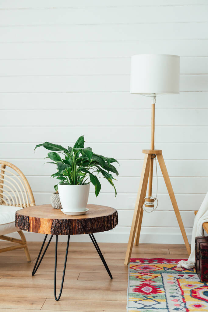 Ротанг кресло и напольная лампа в интерьере гостиной с растениями. Уютный интерьер в стиле бохо. Настоящее фото - Фото, изображение