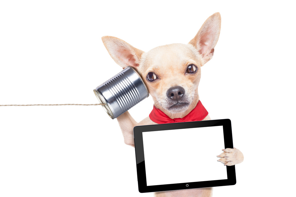 dog on the phone - Photo, Image