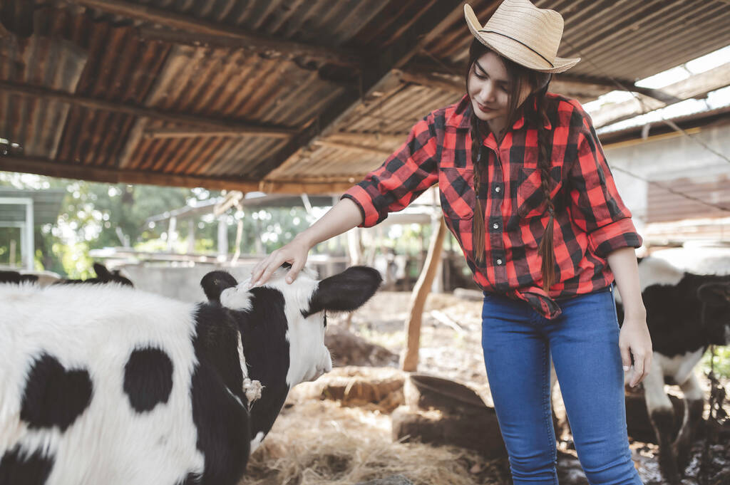 Asiatischer Bauer Arbeit in einem ländlichen Milchviehbetrieb außerhalb der Stadt, Junge Leute mit Kuh - Foto, Bild