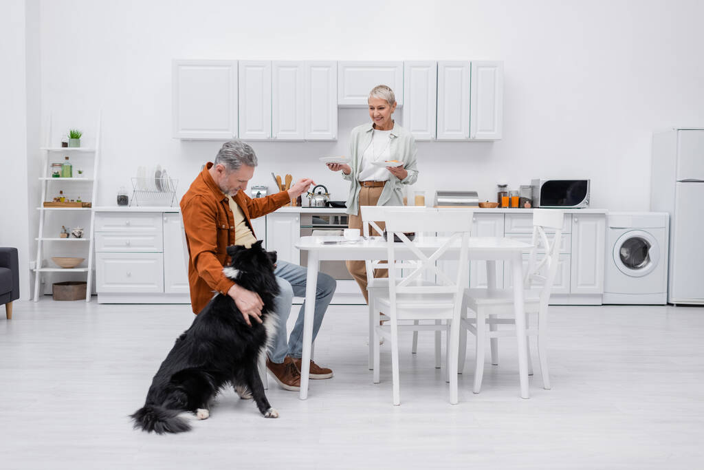 Usmívající se starší žena drží talíře v blízkosti manžela mazlení hranice kolie v kuchyni  - Fotografie, Obrázek