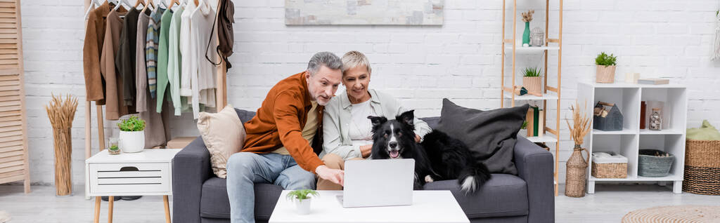 Cheerful couple looking at laptop near border collie on couch in living room, banner  - Photo, Image