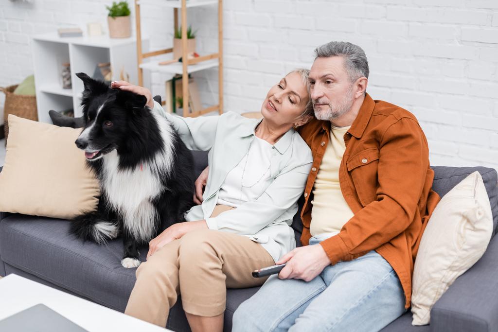 Man watching tv near smiling wife petting border collie on couch  - Photo, Image