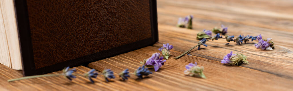vista de cerca de flores de lavanda en escritorio de madera, pancarta - Foto, imagen