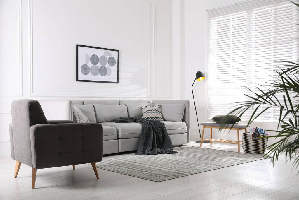 Salon intérieur confortable avec canapé et fauteuil gris confortable - Photo, image
