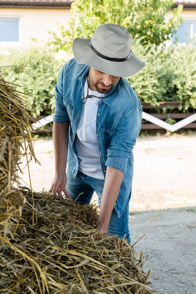 agriculteur en chemise denim et chapeau bord vérification foin à la ferme - Photo, image