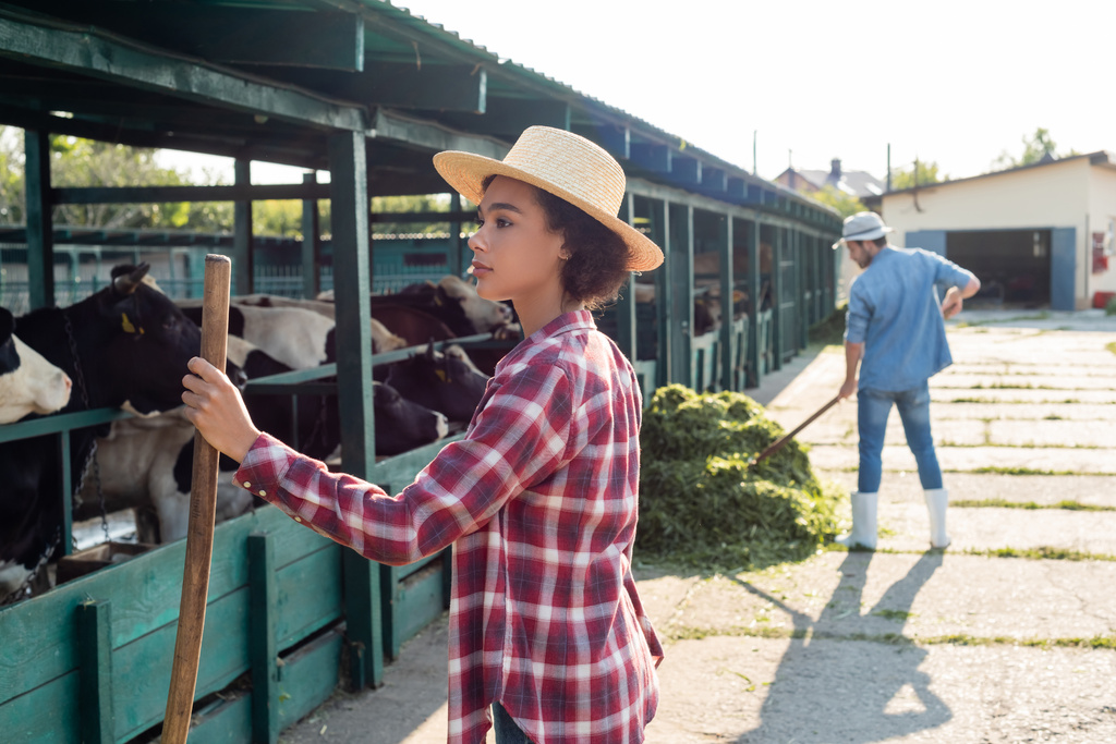 młoda Afroamerykanka patrząc na cowhouse w pobliżu rolnika układania siana na rozmytym tle - Zdjęcie, obraz