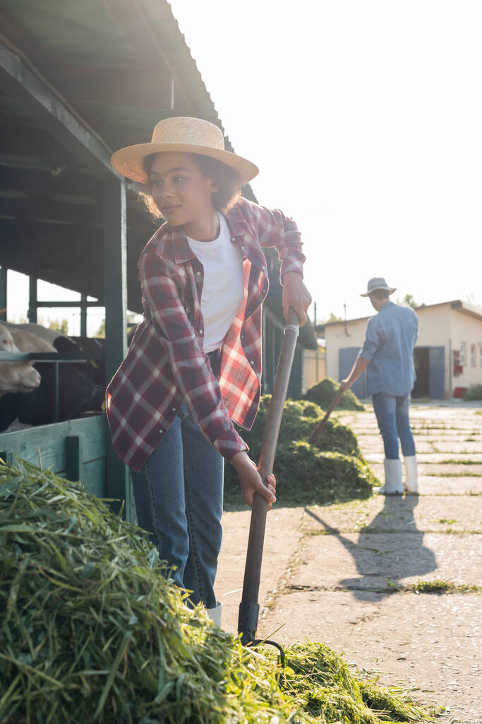 Африканский американский фермер собирает сено возле коровника и размытый коллега - Фото, изображение