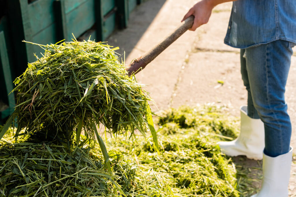 обрезанный вид фермера укладки сена во время работы на ферме - Фото, изображение