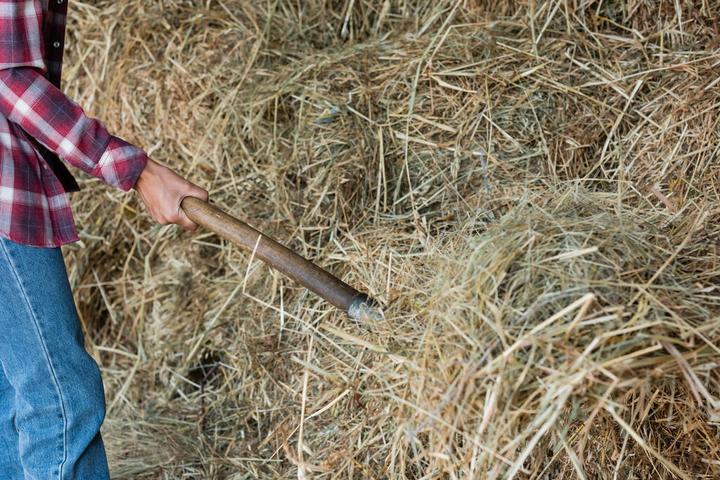 Afrika kökenli Amerikalı çiftçinin çiftlikte saman istiflediği görüntüler. - Fotoğraf, Görsel