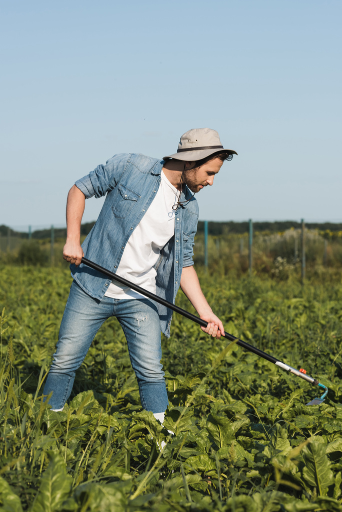 vista completa del agricultor en ropa de mezclilla cultivando plantas en el campo - Foto, Imagen