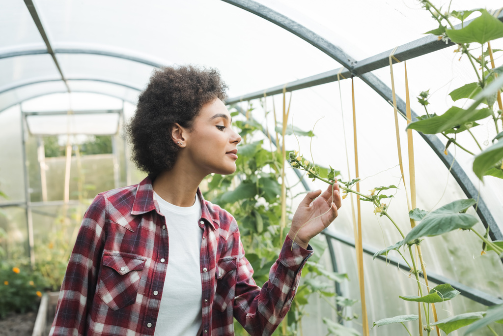mujer joven y bastante afroamericana inspeccionando plantas en invernadero - Foto, imagen