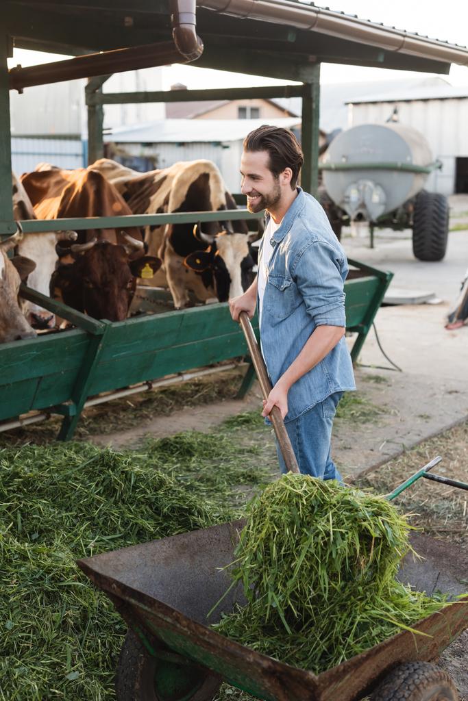 Genç çiftçi gülerek ineklerin ahırına saman yığıyor. - Fotoğraf, Görsel