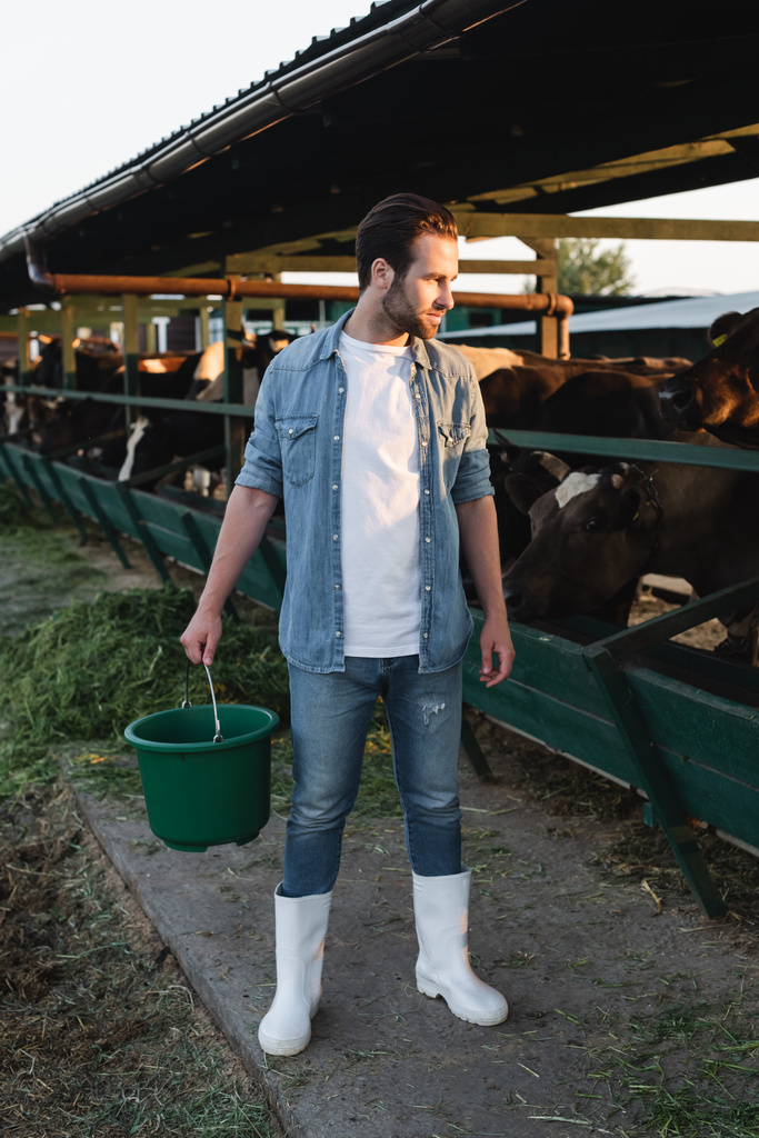 酪農場の牛小屋近くのバケツ付きの農家の長距離ビュー - 写真・画像