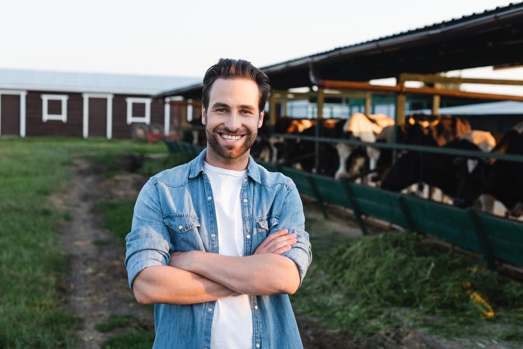 šťastný farmář stojící se zkříženýma rukama v blízkosti rozmazané kravíny na farmě - Fotografie, Obrázek