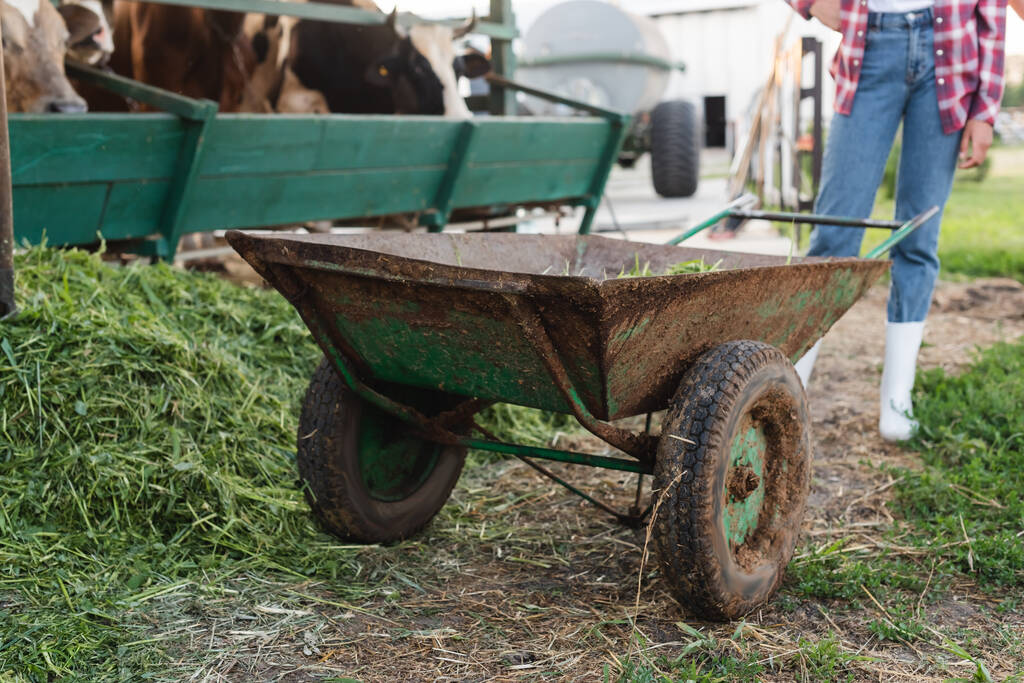 levágott kilátás afro-amerikai farmer közelében talicska és elmosódott tehenek istállóban - Fotó, kép