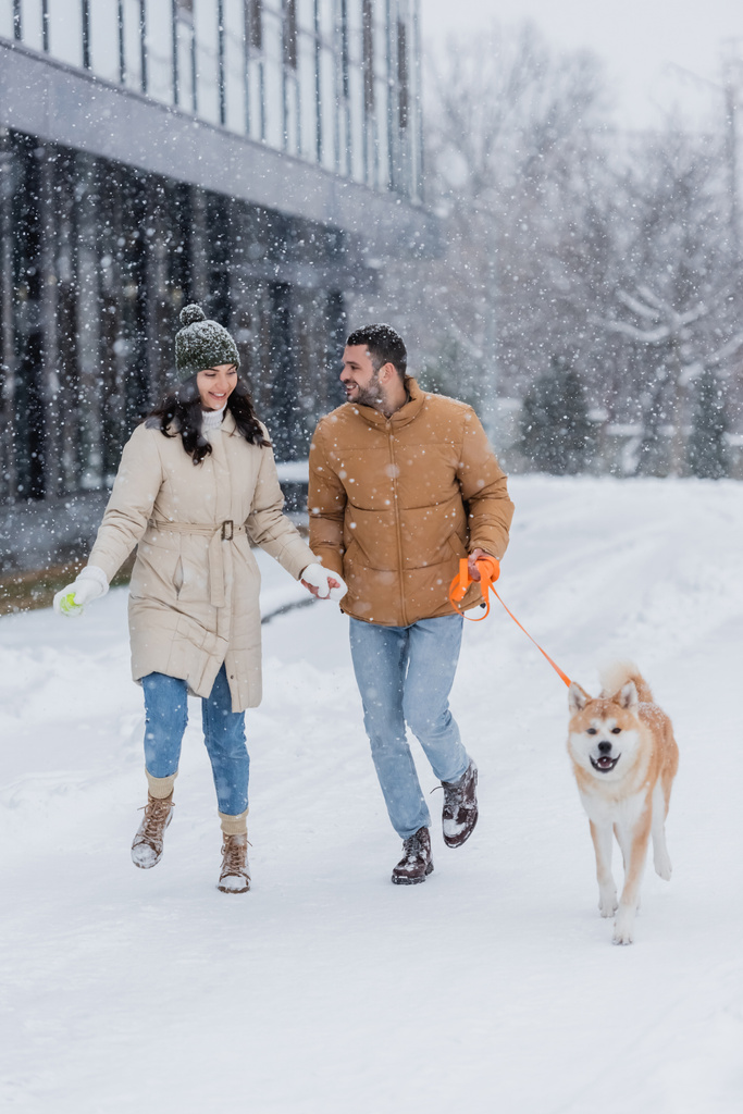 alegre hombre sosteniendo correa mientras camina junto con feliz novia y akita inu perro bajo la caída de la nieve - Foto, imagen