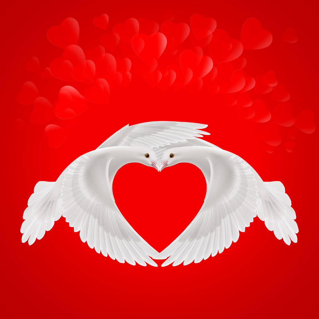 Дві білі голуби утворюють форму крил червоного серця
 - Вектор, зображення