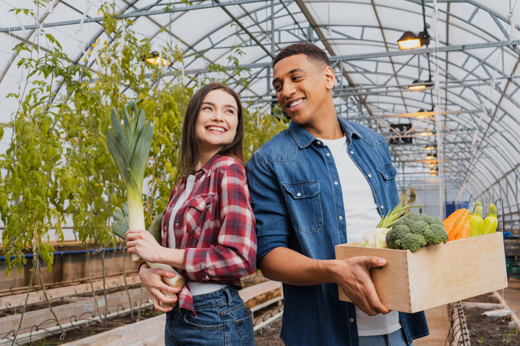 Feliz granjero sosteniendo puerro cerca de colega afroamericano con verduras en invernadero  - Foto, Imagen