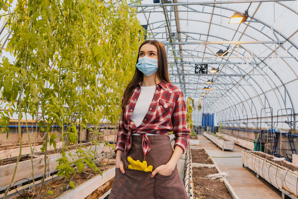 Молодой фермер в медицинской маске и фартуке смотрит на растения в теплице  - Фото, изображение
