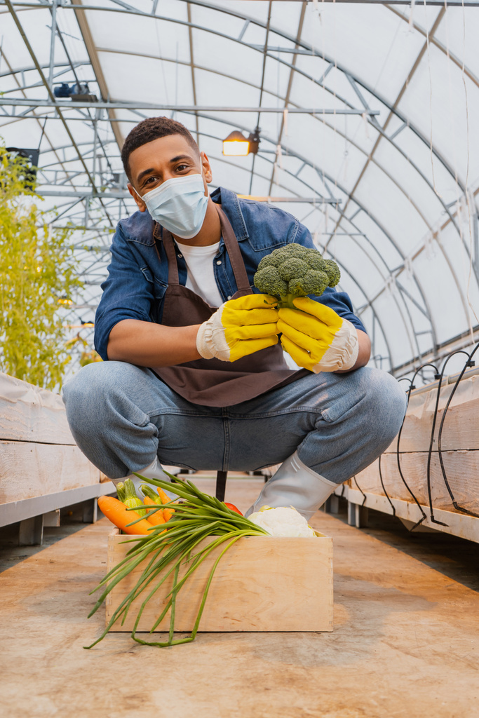 医療用マスクのアフリカ系アメリカ人農家は、温室内の野菜とボックスの近くにブロッコリーを保持  - 写真・画像