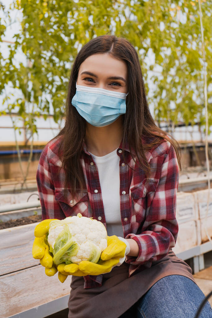 Agricultor en máscara médica sosteniendo la coliflor y mirando a la cámara en invernadero  - Foto, Imagen