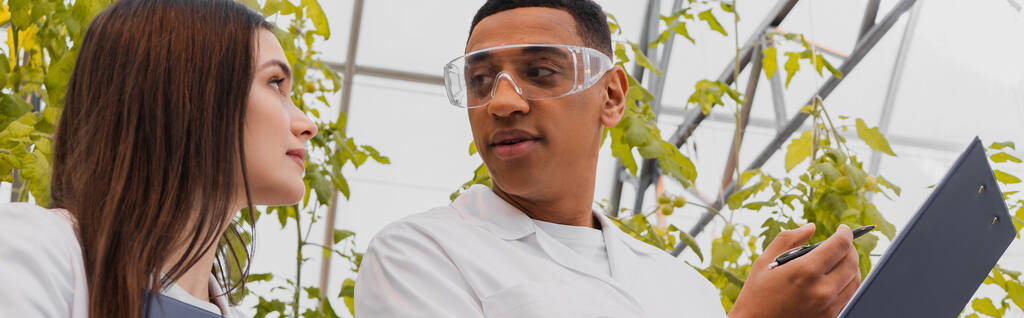 Nízký úhel pohledu afrického amerického botanika držícího podložku poblíž kolegy ve skleníku, banner  - Fotografie, Obrázek